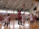 新春嵐南勝負　2015年1月24日