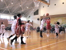 新春嵐南勝負　2015年1月24日